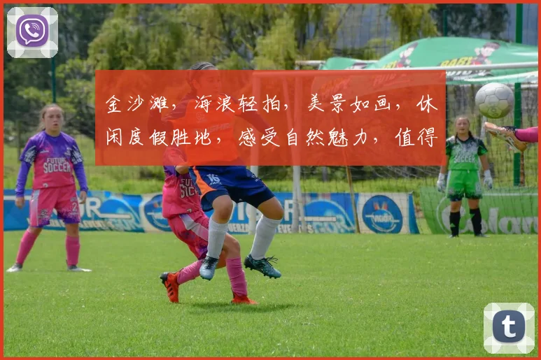 金沙滩，海浪轻拍，美景如画，休闲度假胜地，感受自然魅力，值得一游，亲子旅行首选。