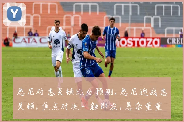 悉尼对惠灵顿比分预测,悉尼迎战惠灵顿,焦点对决一触即发,悬念重重