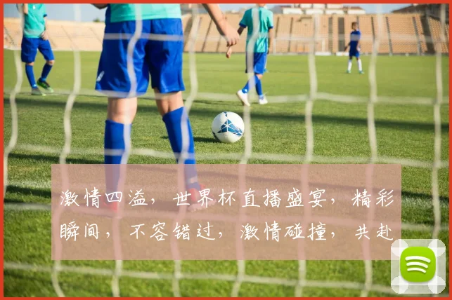 激情四溢，世界杯直播盛宴，精彩瞬间，不容错过，激情碰撞，共赴足球盛宴