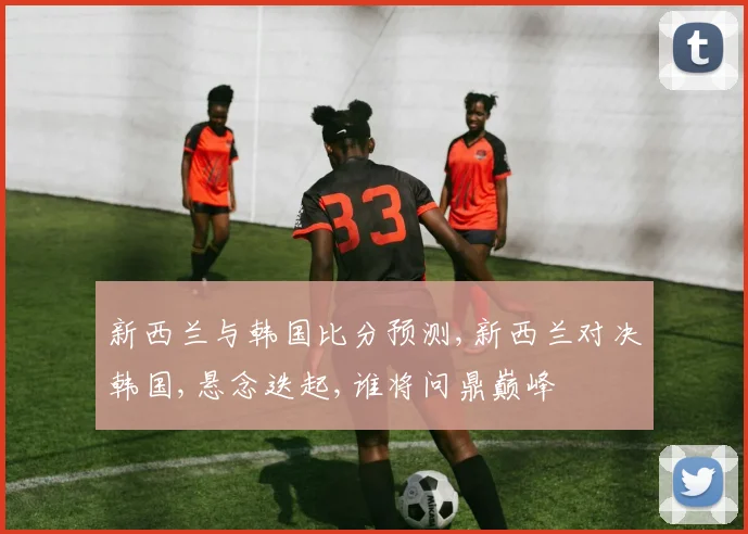 新西兰与韩国比分预测,新西兰对决韩国,悬念迭起,谁将问鼎巅峰