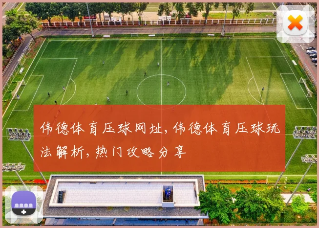伟德体育压球网址,伟德体育压球玩法解析,热门攻略分享