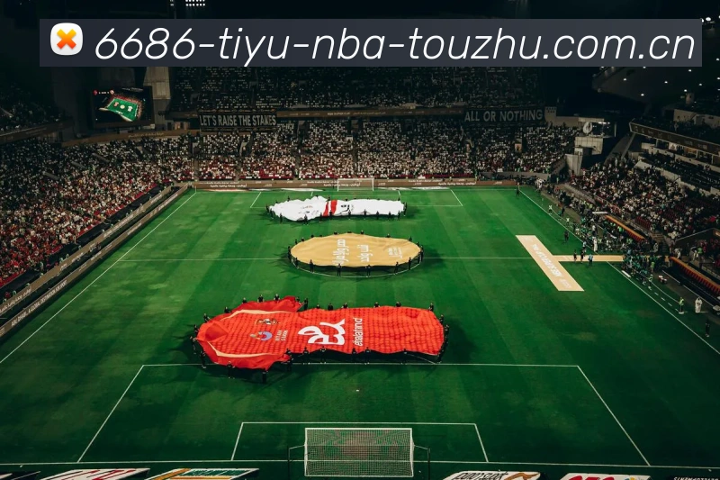 6686体育NBA投注APP 封面图